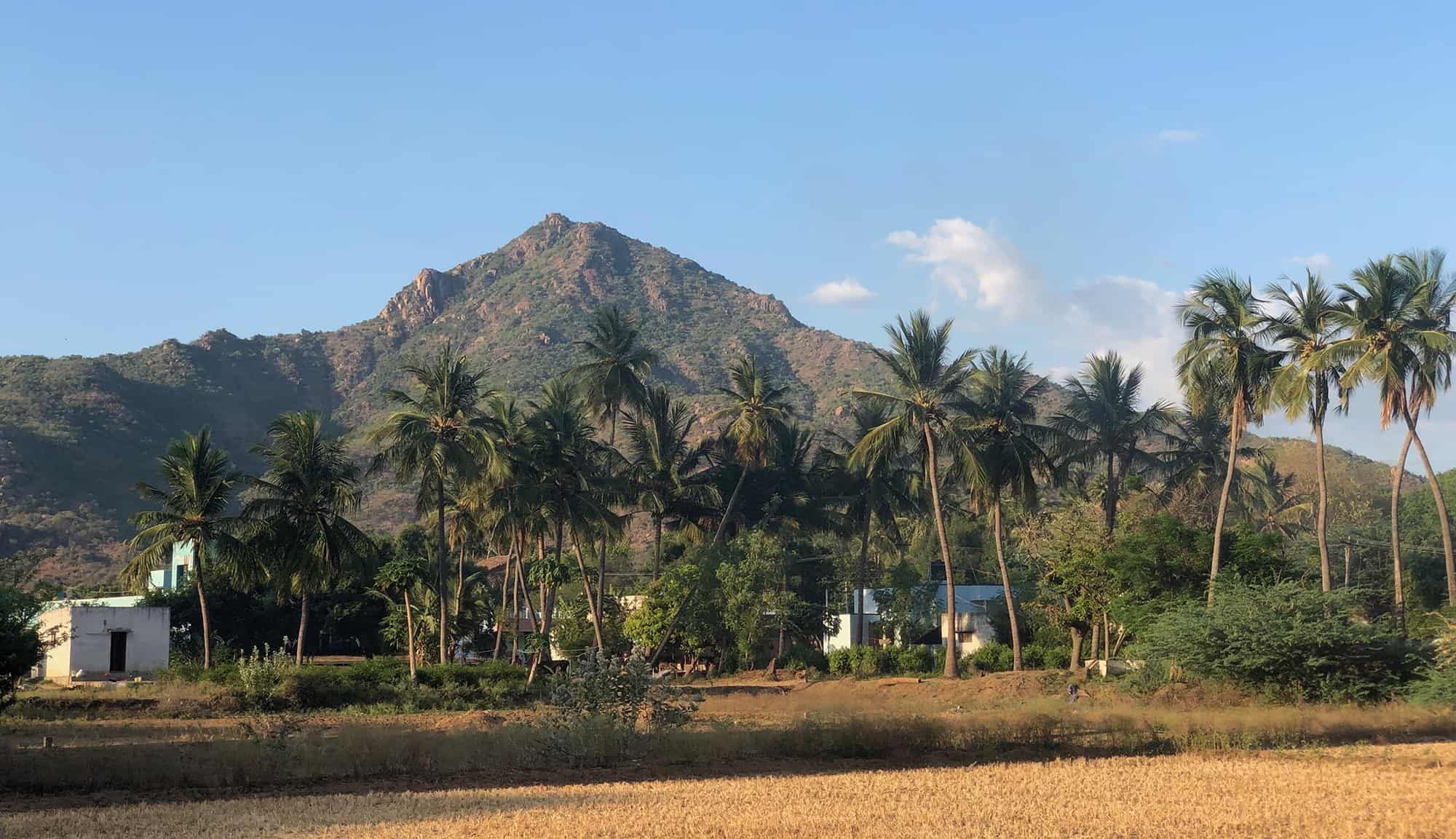 Retreat in Tiruvannamalai